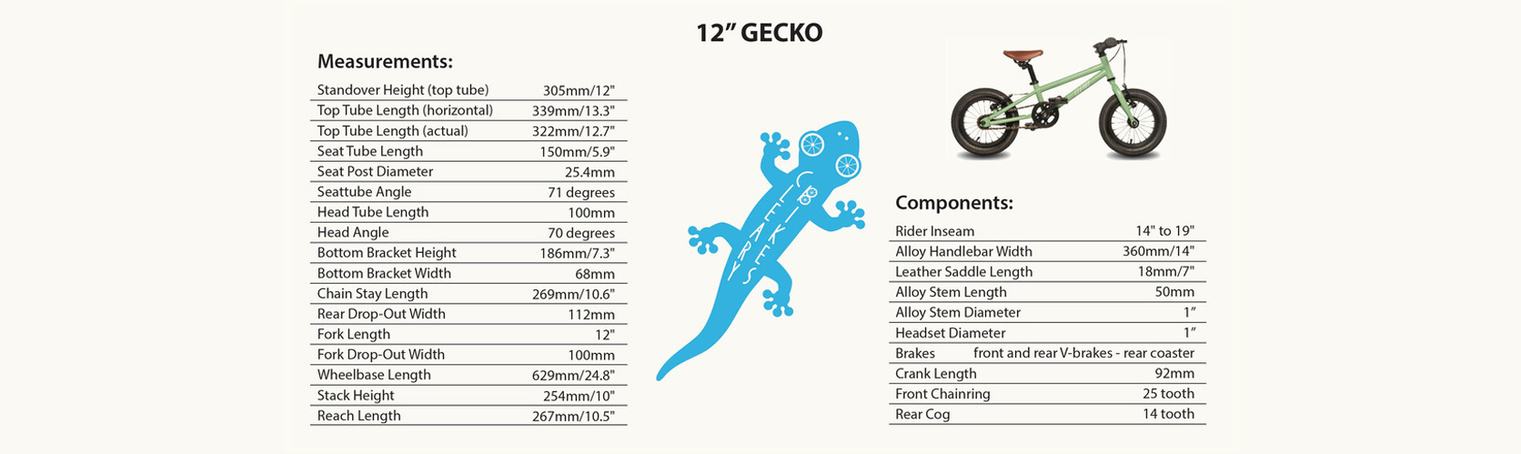 Cleary Gecko 12"